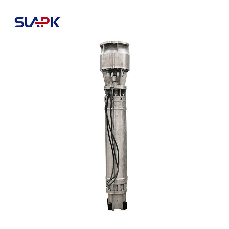 10 inch 12 inch 14 inch High-Performance Stainless Steel Submersible Pumps for Seawater Lifting