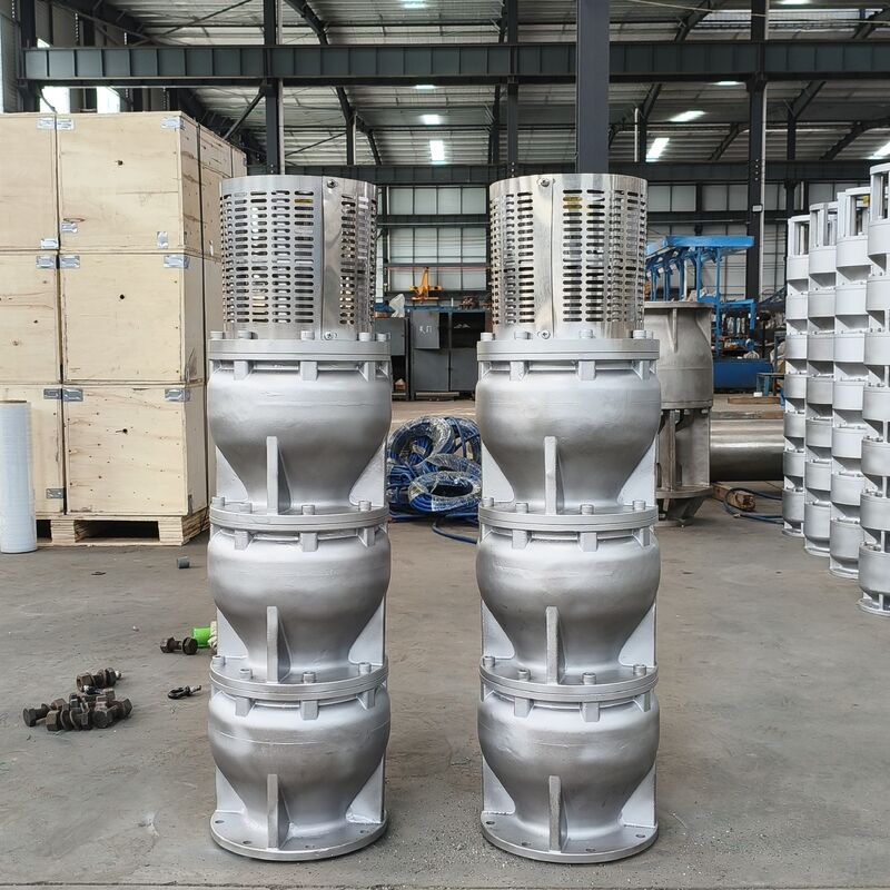 6 Zoll Duplex aus Edelstahl 2205 Tiefenbrunneneinschwemmungspumpe mit 15 m3/h Durchfluss und 180m Kopf