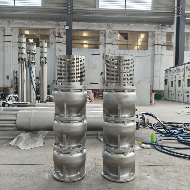 6 Zoll Duplex aus Edelstahl 2205 Tiefenbrunneneinschwemmungspumpe mit 15 m3/h Durchfluss und 180m Kopf