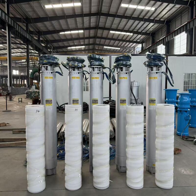 Tauchfähige Meerwasserpumpe aus Edelstahl mit mehrstufigem Design mit hoher Förderhöhe und anpassbaren Konfigurationen