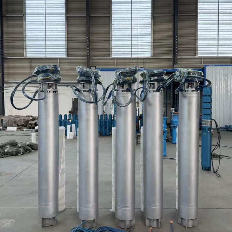 Tauchfähige Meerwasserpumpe aus Edelstahl mit mehrstufigem Design mit hoher Förderhöhe und anpassbaren Konfigurationen