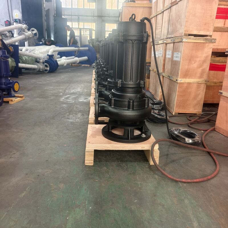 30kW Edelstahl Tauch-Schmutwasserpumpe mit 130 m³/h Durchfluss für industrielle Abwässer