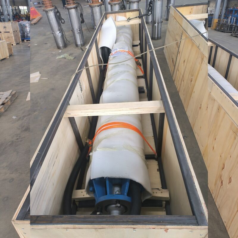300 kW Hochspannungssubmersible Wasserpumpe für die Abwasserentwässerung von Bauxitminen mit Edelstahlimpelern