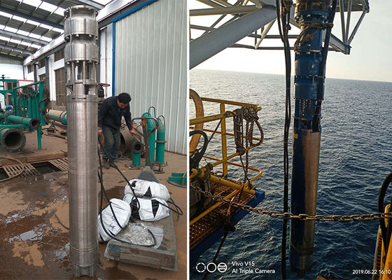 Seewasser Tiefenbrunnen Unterwasserpumpe 75kw 100 PS SS316L Material 60m Kopf