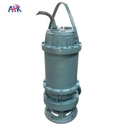 120 m3/h 300 m3/h 55 kW nicht verstopfende Wassermine Unterwasserpumpe